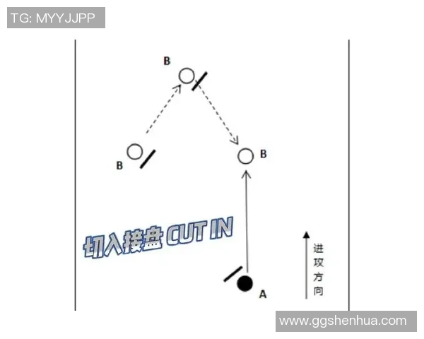 深圳飞盘队的速度解析与战术运用探讨