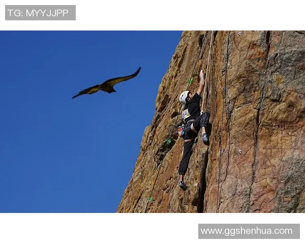 西安攀岩队与成都攀岩队个人能力对比分析与赛后总结